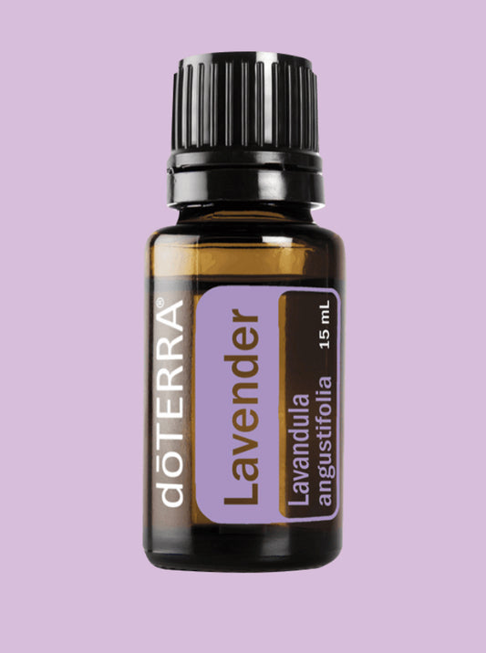 Lavender Essential Oil