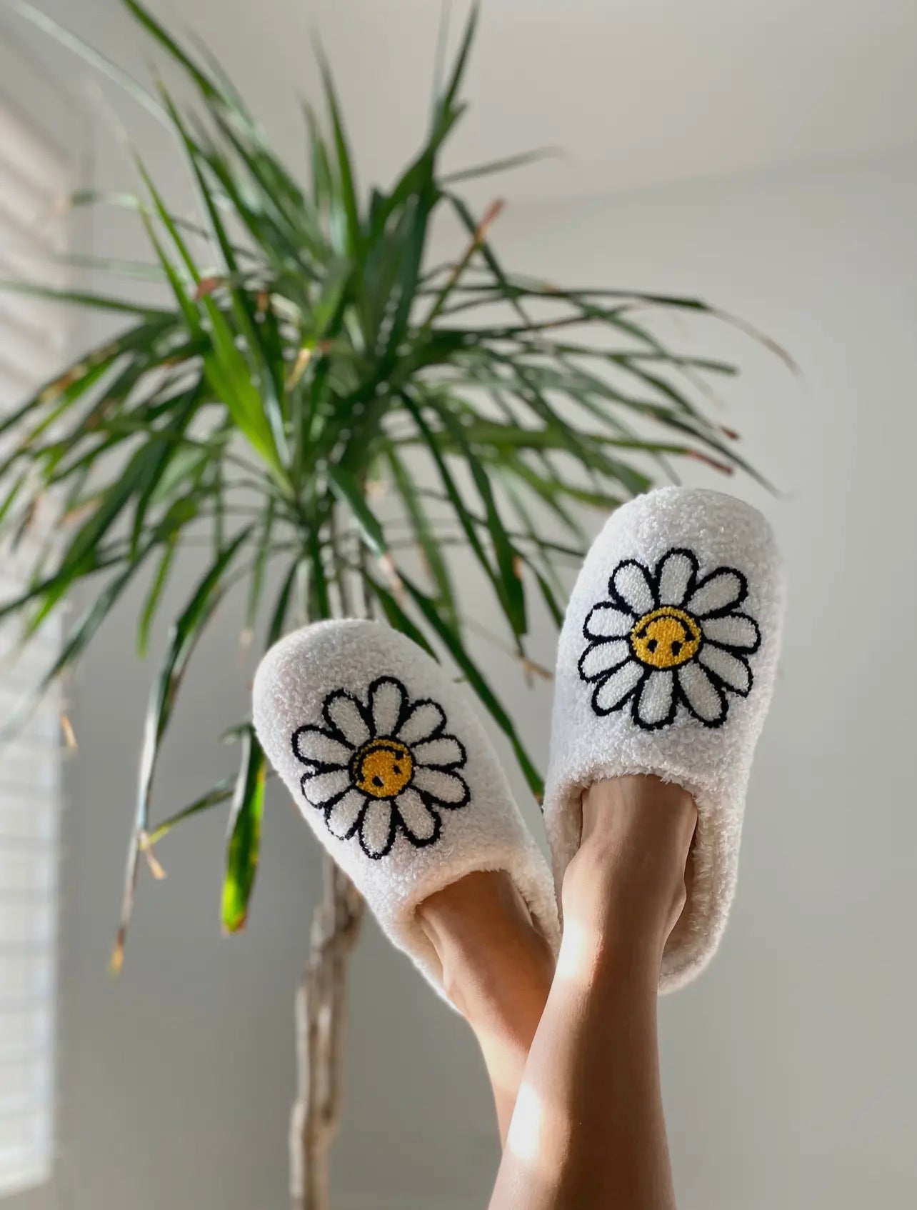 Slippers!