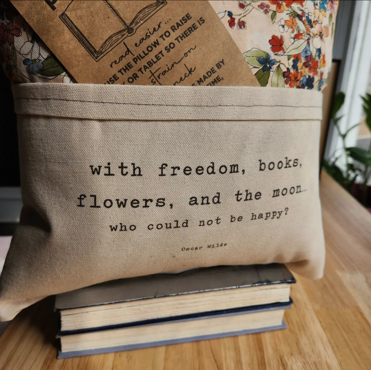Reading Pillow