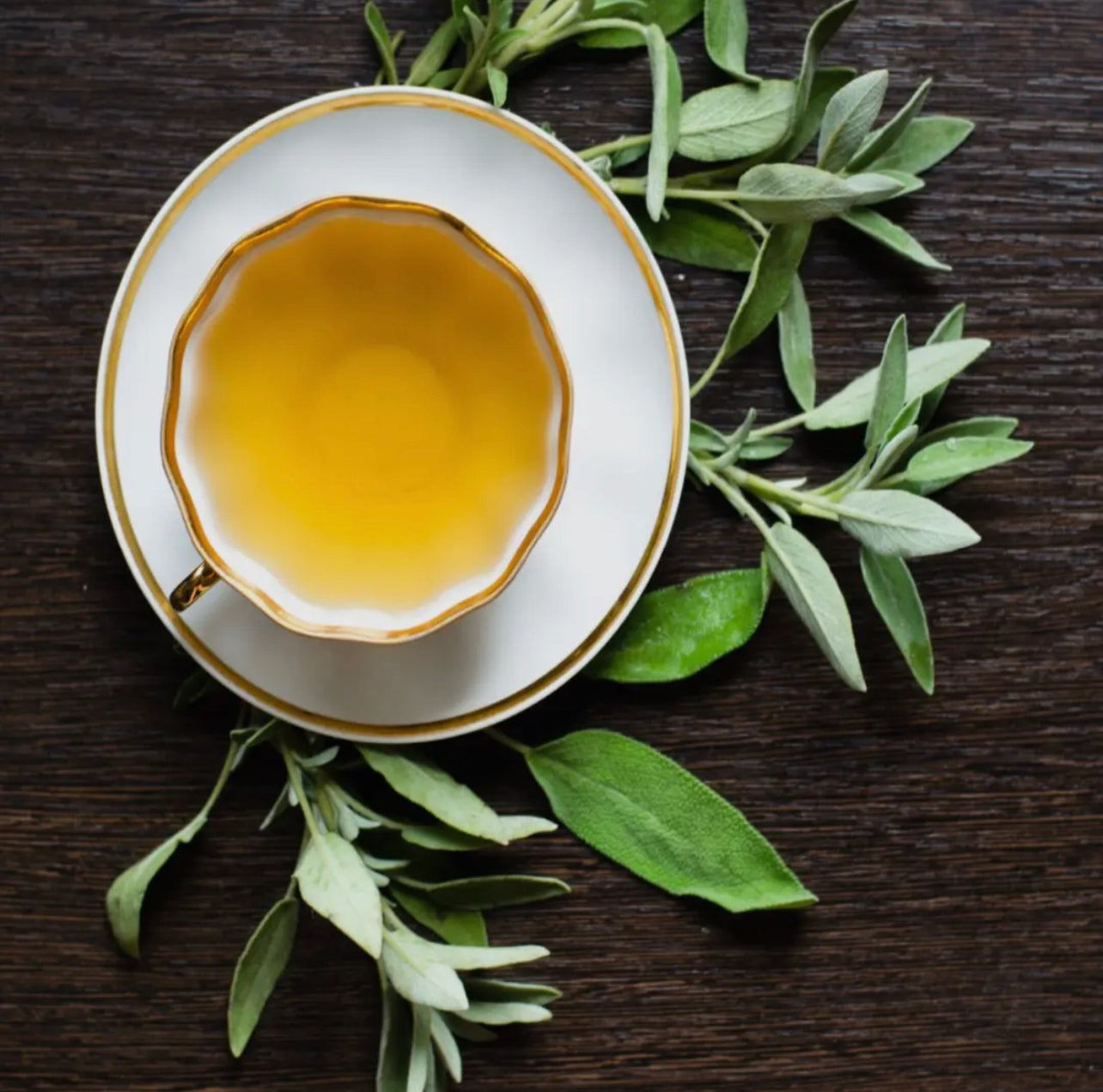 Fresh Start Organic Loose Leaf Tea