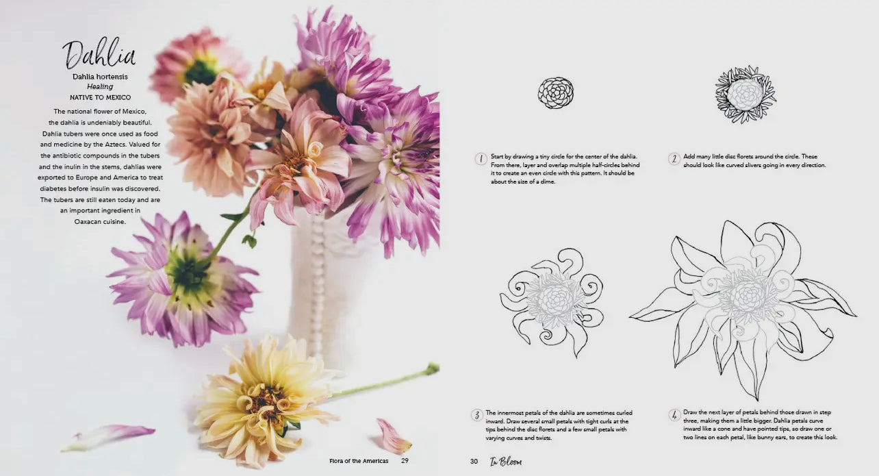 In Bloom, Step by Step Guide to Drawing Florals