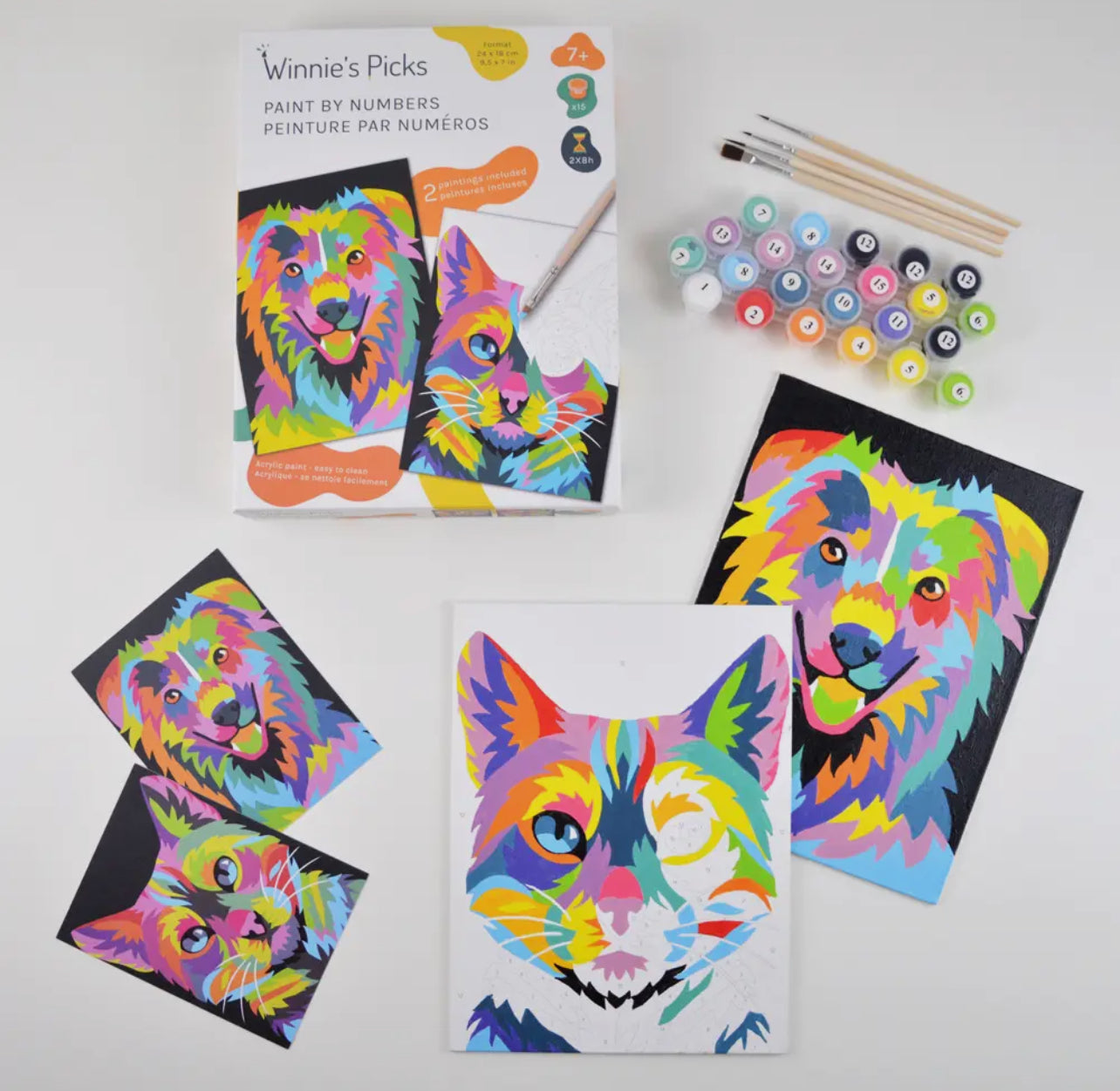 Kid's Paint by Numbers Kits
