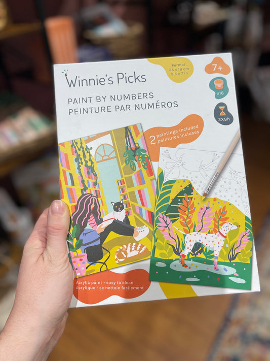 Kid's Paint by Numbers Kits